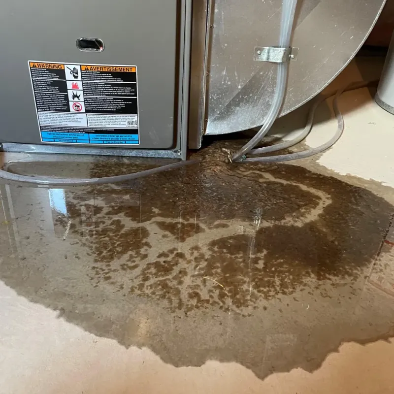 Appliance Leak Cleanup in Wakefield, MA